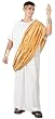 Adult Caesar Costume - Adult Std.