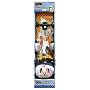Speed Racer Skateboard Combo (Skateboard, Helmet and Knee and Elbow Pads)