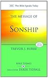 The message of sonship : at home in God's household