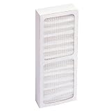 Hunter HEPAtech Replacement 2-pack of Model #30963 Filters