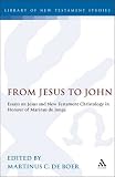 From Jesus to John : essays on Jesus and New Testament Christology in honour of Marinus de Jonge