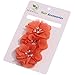 Roewell Cute Baby Girl Headbands Newborn Hair Bows Toddler Chiffon Hair Bows (6 Pcs)