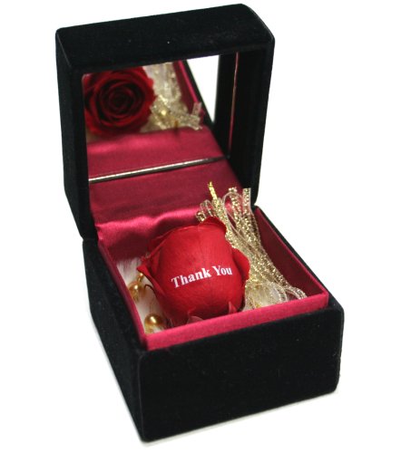 メッセージローズ (Preserved Rose) ローズブラックミラーボックス Small~ローズパンドラボックス~レッド 【Thank You】 22270