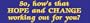 So How's That Hope and Change Working Out for You?; bumper sticker