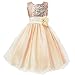 Z.D Girls Wedding Dress Ball Gown Bridesmaid Tull Sequined Sleeveless Dress