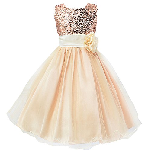 Z.D Girls Wedding Dress Ball Gown Bridesmaid Tull Sequined Sleeveless Dress