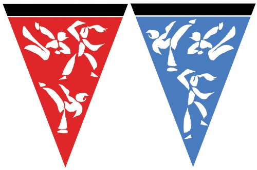 Imagen principal de Banderín Artes Marciales