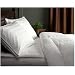Pinzon Pyrenees Light Warmth White Goose Down King Comforter
