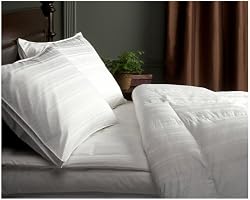 Pinzon Signature Pyrenees Medium Warmth White Goose Down Full/Queen Comforter