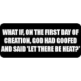 WHAT IF, ON THE FIRST DAY OF CREATION, GOD HAD GOOFED AND SAID 'LET THERE BE HEAT?' - Quotes Car Bumper Sticker/Vinyl Decal [2712BLK]'