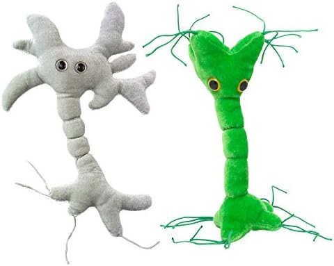 Giant Microbes Brain Cell and Nerve Cell Plush Pack