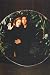 Search : X FILES SCULLY MULDER GREEN LEAVES 4X6 PHOTO