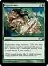 Regenerate Common Foil