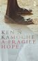 A Fragile Hope (Salt Modern Fiction S.)