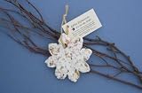 New Cast Paper Art Edible Ornament-Flower Set Of 6 Recycled Cotton Fiber Fresh Flowers No Mess Seeds