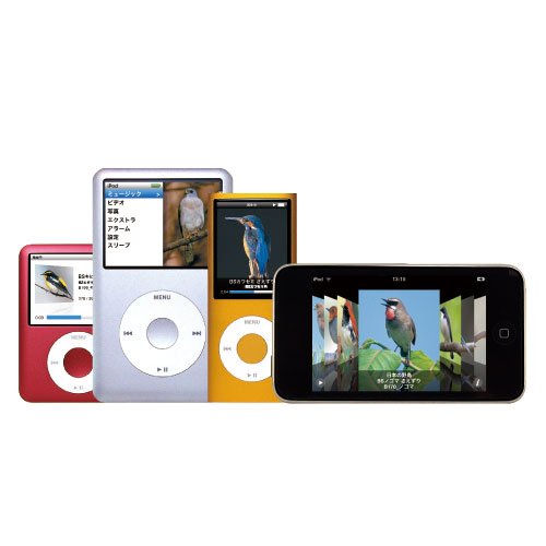 Cover image : Birdsong for iPod