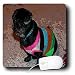 Jos Fauxtographee Realistic - Adorable Shiatsu Pug Pet Dog in Vibrant Pink and Green Sweater With Cute Hair Cut - Mouse Pads