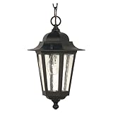 Nuvo 60/993 Textured Hanging Lantern with Clear Seeded Glass, Textured Black [並行輸入品]