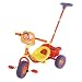 Dora The Explorer Steering Trike With Parent Steering Pole