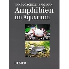 Amphibien im Aquarium.