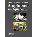 Amphibien im Aquarium