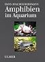 Amphibien im Aquarium