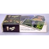 Hawaiian Host The Original chocolate Covered MACADAMIA NUTS BOX 14 OZ (397 g)