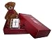 Very Special Christening Gift / Confirmation Gift - Dark Brown Christening Teddy with Metal Covered Miniature Bible Containing the 4 Gospels. Free Gift Card and Message Service.