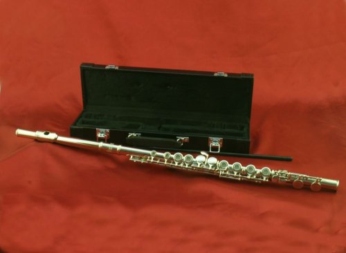 MusicalInstruments: Oxford Deluxe Nickel Silver Plated Flute Outfit