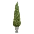 Potted Porch Tree- Green(4.5')