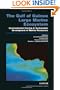 The Gulf of Guinea Large Marine Ecosystem: Environmental Forcing and Sustainable Development of Marine Resources (Large Marine Ecosystems)