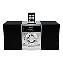 Sharp XL DH 320 NH Kompaktanlage (CD/MP3/WMA-Player, UKW-Tuner, 66 Watt RMS, Apple iPod Dock, USB 2.0) silber