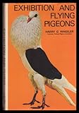 Exhibition and flying pigeons