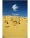 Photographic Print of The Pinnacle Desert from Robert Harding
