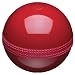 Kitchen & Housewares : Kitsch'n'Fun Cricket Ball Bottle Opener with Sound Clip