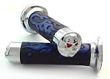 Kawasaki Ninja EX 250 500 650R ZX6 ZX7 Blue Flame Grips