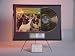 Beach Boys 24 Kt Gold Album Framed 