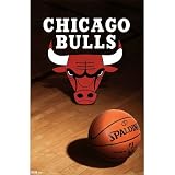 Chicago Bulls (Logo, Basketball) Sports Poster Print - 22x34 custom fit with RichAndFramous Black 22 inch Poster Hangers
