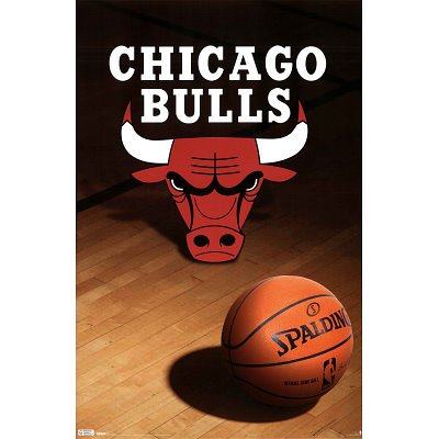 Chicago Bulls (Logo, Basketball) Sports Poster Print - 22x34 custom fit with RichAndFramous Black 22 inch Poster Hangers