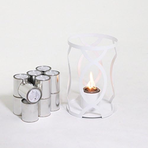 TF Essentials Savannah Outdoor Steel Lantern with 12 SunJel Canisters, Brushed Steel, Small