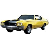 1970-1972 Buick GSX Stencil Stripe Kit by Phoenix Graphix