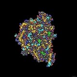 Vascular Endothelial Growth Factor Photographic Poster Print, 16x16