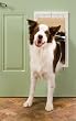 PetSafe Plastic Pet Door - Large
