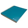 Livescribe Pulse Smartpen 3-Subject Notebook - Dark Blue (ANA-00024)