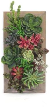 Succulent Garden Wall Tile
