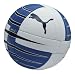 PUMA Handball PowerCat 6.10 HB