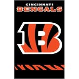 Cincinnati Bengals Applique Banner Flag - B0006NB1D6