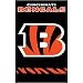 Cincinnati Bengals Applique Banner Flag