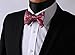 SetSense Men's Paisley Jacquard Woven Self Bow Tie Set One Size Red / Blue
