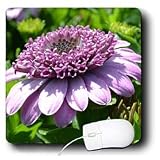 Patricia Sanders Flowers - purple flower - Mouse Pads